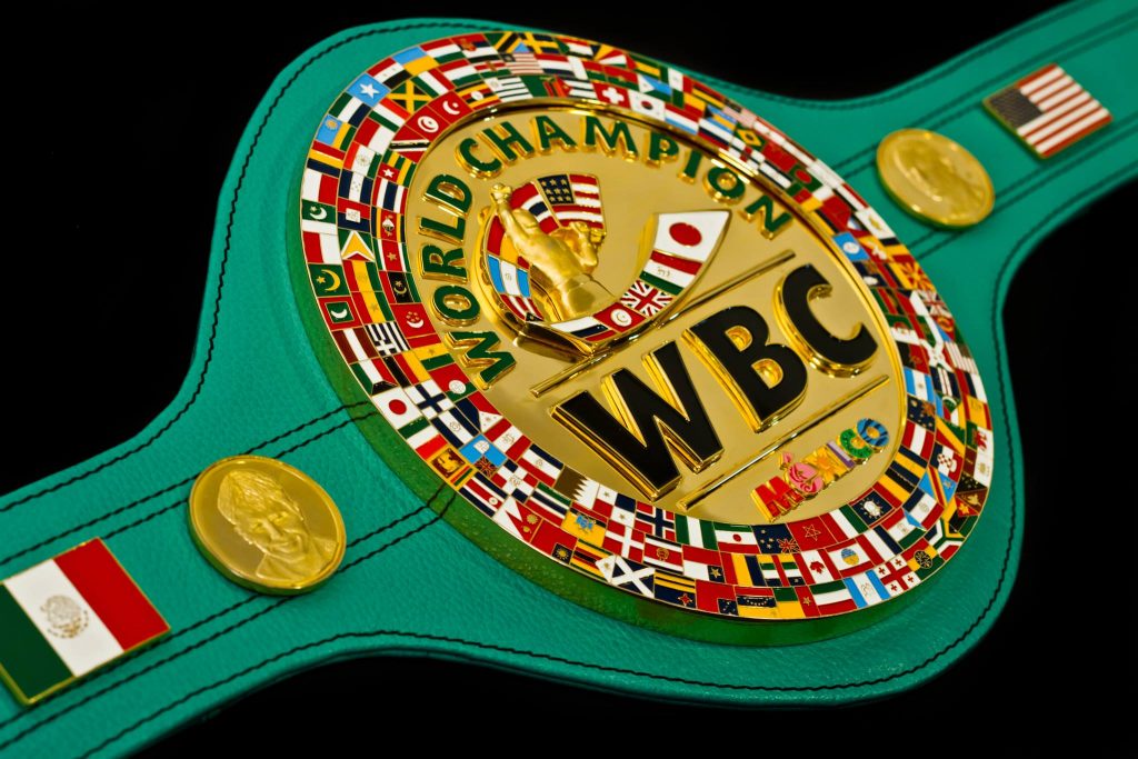 WBC Diamond Belt Explained Boxing Action 24