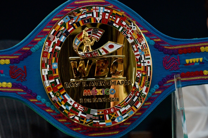 WBC punishing pros who Fight in Tokyo Olympics – Boxing Action 24